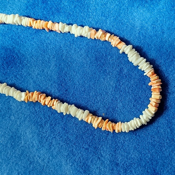Shell Necklace - Picture 3 of 4